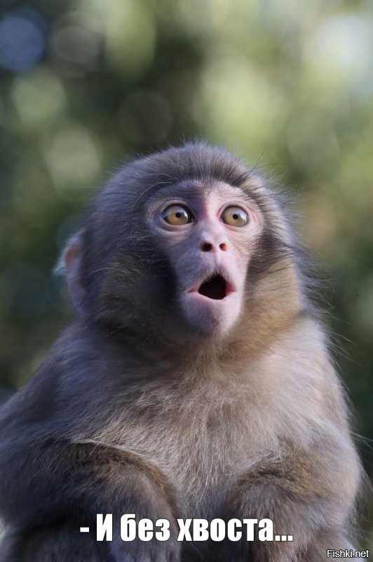 Солянка от 28.11.2021