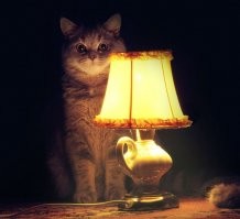 Александра Градского в срочном порядке госпитализировали в одну из столичных клиник