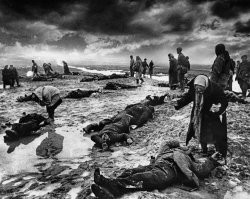 Трогательный пост! Жирный плюс. От этой фотографии чуть не всплакнул...