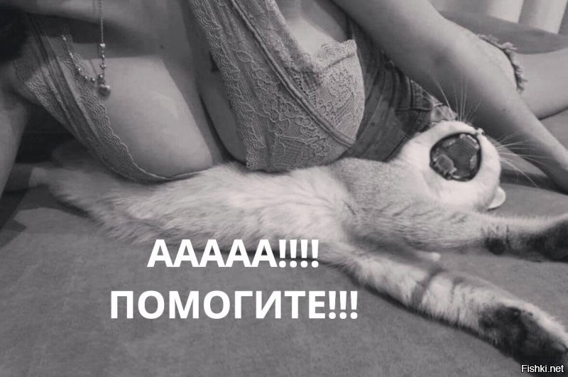 Солянка от 28.11.2021