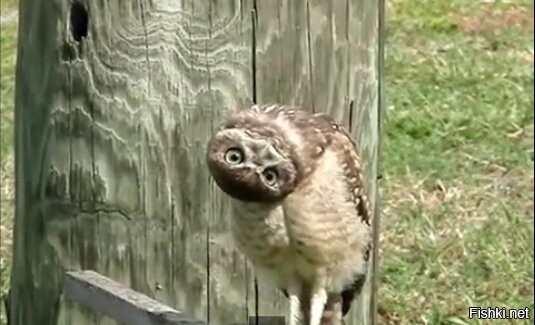 Такая гибкая )