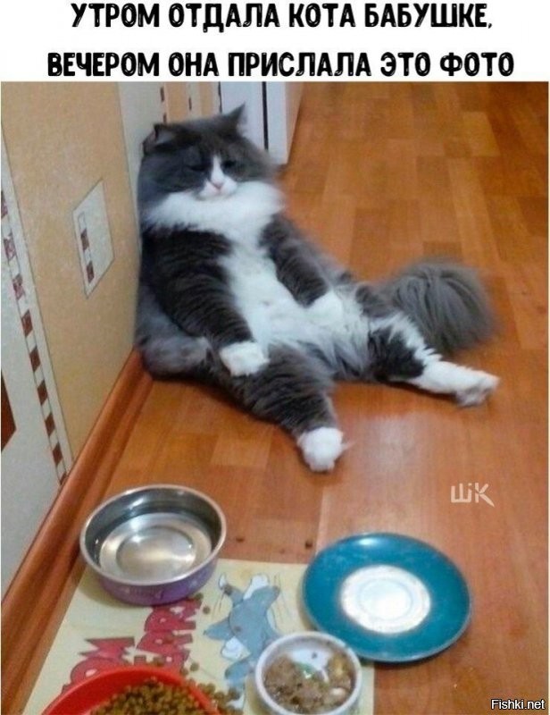 Солянка от 28.11.2021