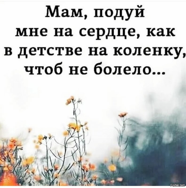 Солянка от 28.11.2021