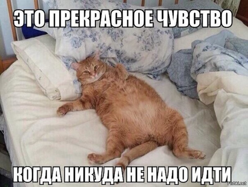 Солянка от 28.11.2021