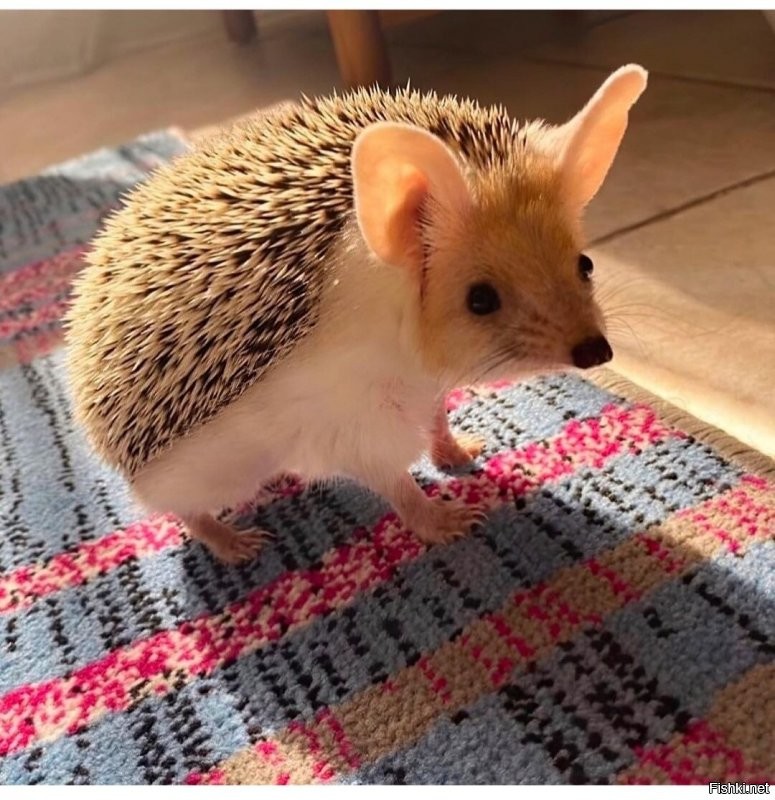 28 ноября,  Гурьев день (Гурьян, Зубной целитель, Гурий Морозный)