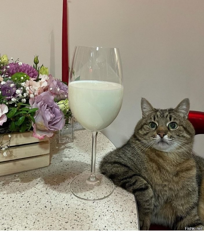 Солянка от 28.11.2021