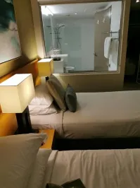 это "умное" стекло. внутри есть выключатель который делает его не прозрачным