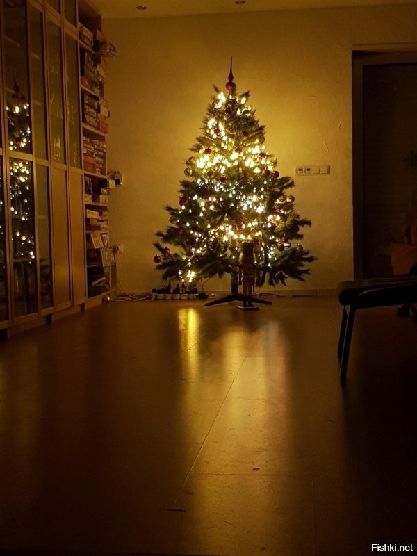 Солянка от 28.11.2021