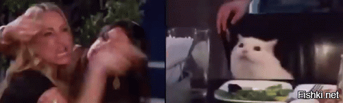 Солянка от 28.11.2021