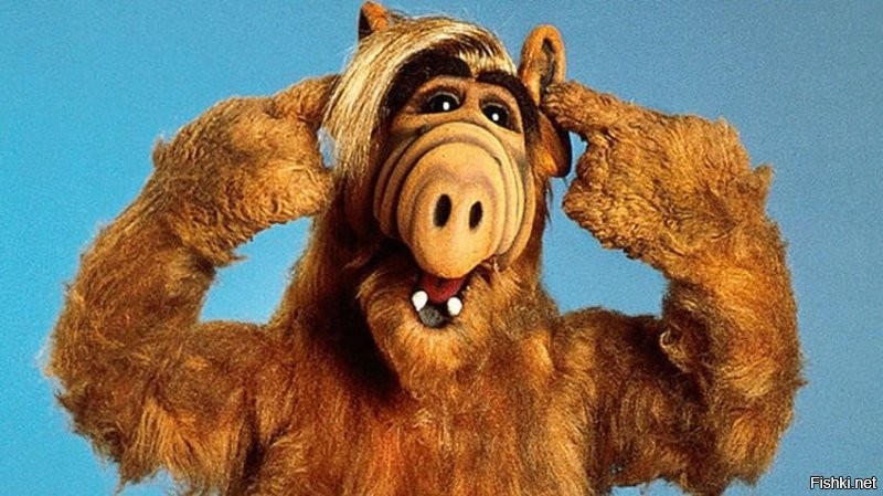 Солянка от 28.11.2021