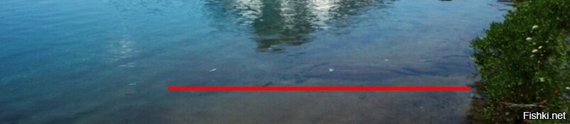 Кто~сеть поставил