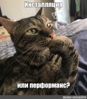 Почему лисице нелегко жить зимой: 10 особенностей рыжей хищницы