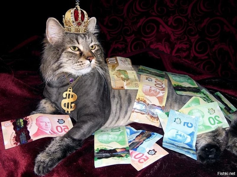 Солянка от 28.11.2021