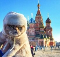 это точно не оскорбление??? хз этих верунов, я б поостерёгся в общий доступ такие рисковые фото выкладывать