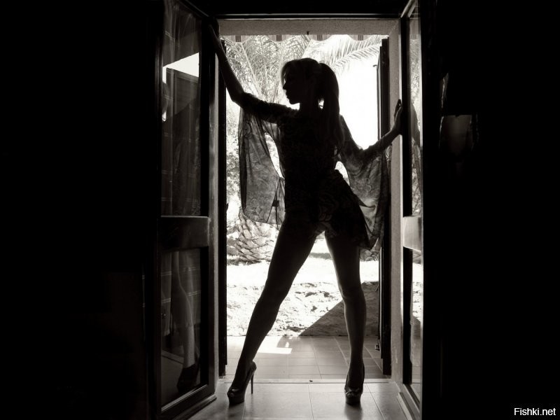 "Хаечка сделала прическу, накрасилась, надела кружевное белье и побежала к соседу одолжить соль.. А там уже Роза одалживает..."