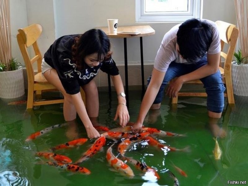 Всех кто делает не так как Вы-к психиатру