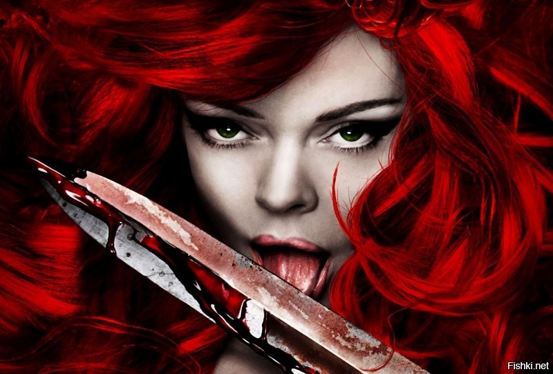 Солянка от 28.11.2021