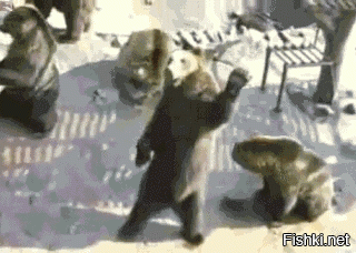 Солянка от 28.11.2021