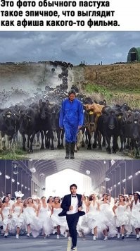 Ну, так-то, да... Даже, кажется, видел.