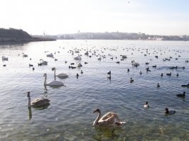 Вот тебе еще парочка фото из Севастополя.