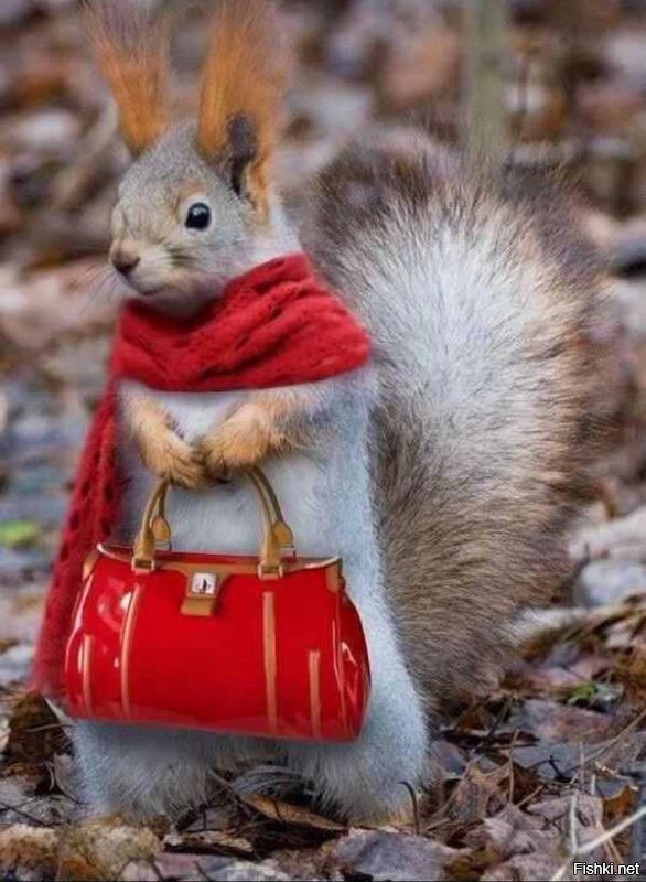 режим ожидания )