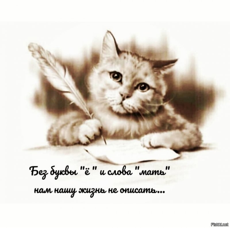 Солянка от 29.11.2021