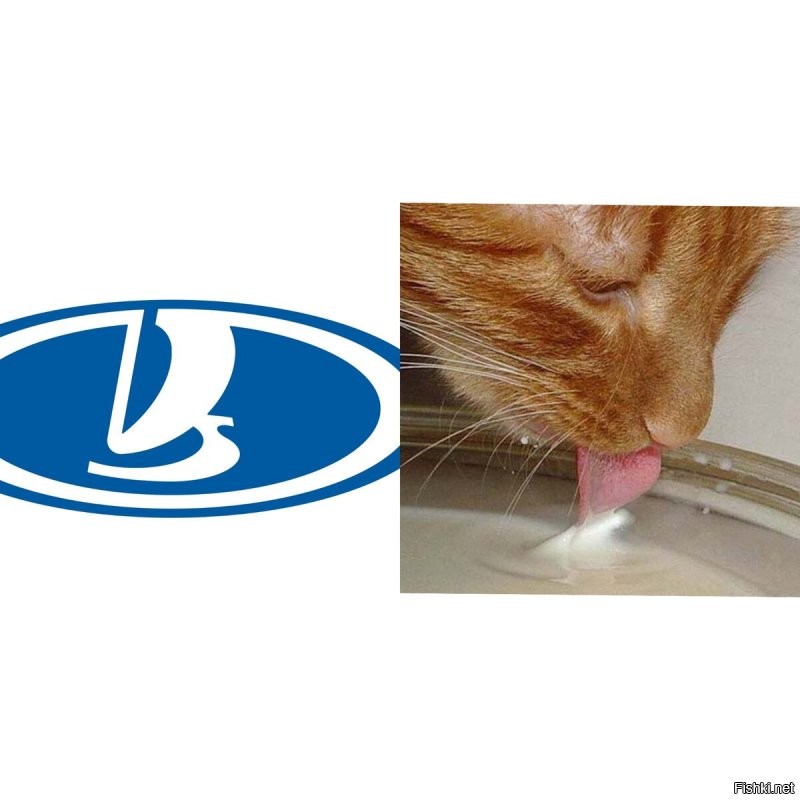 Солянка от 29.11.2021