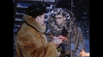 Жизни лысых важны