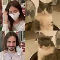 Конкурс на лучшие ноги с неожиданным финалом