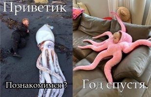 17 веселых кадров, претендующих на звание "Мем года"