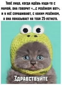 Скрины из соцсетей