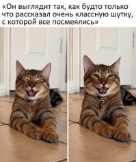 Снова адепты секты "С"
Смеются "от" шутки или "над" шуткой, но никак не "с"