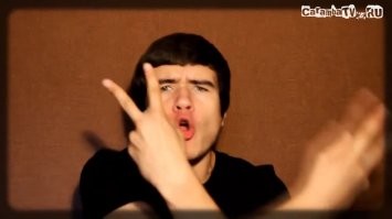  Как выглядит мир глазами кота