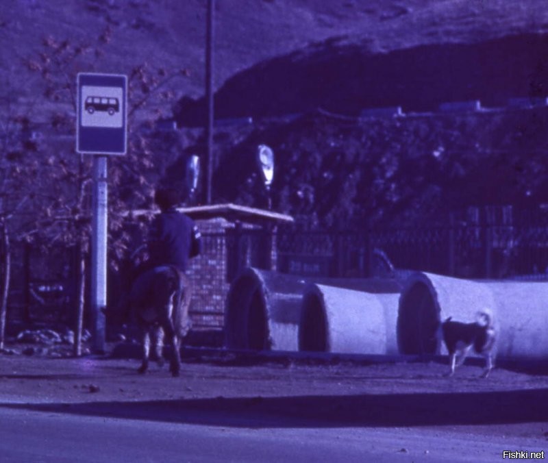 аш ёкнуло)... фото 91 или 92 года, в ПАЗике, Чирчик-Чимган
