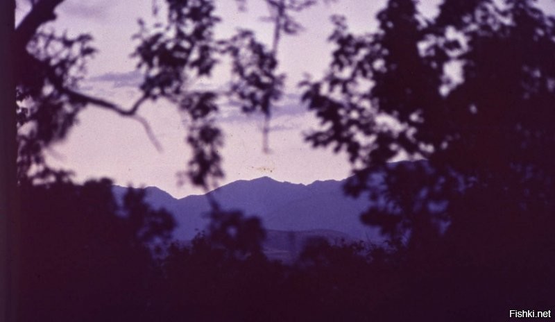 аш ёкнуло)... фото 91 или 92 года, в ПАЗике, Чирчик-Чимган