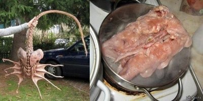 Удалить хвост и щупальца, а так же - дыхательные мешки. Дать вытечь кислоте. Съедобную часть тушки положить в кастрюлю, и варить на медленном огне 40-50 минут!
(С) pikabu