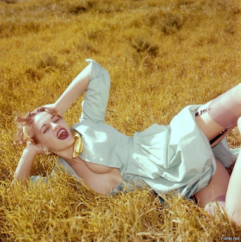 Солянка от 29.11.2021