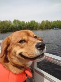 Была ваша, стала наша.