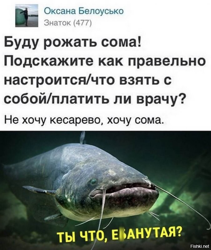 Где 1985 и где 87, думать же надо