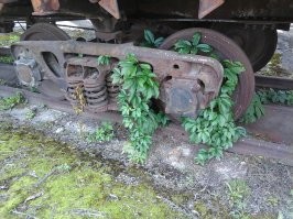 Эти прекрасные железные дороги