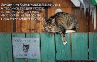 Отличный охранник в дом!