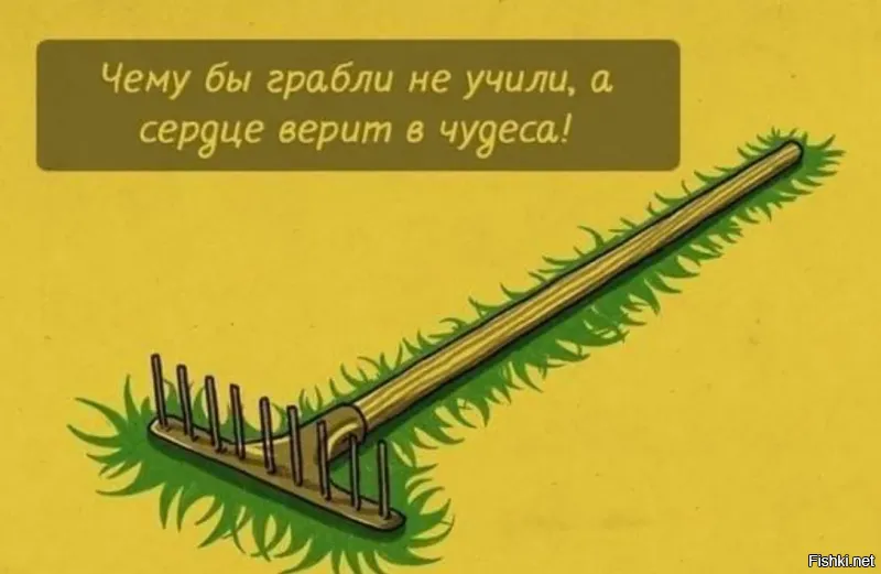 Солянка от 30.11.2021