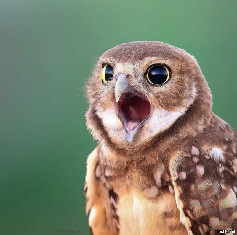 Солянка от 29.11.2021