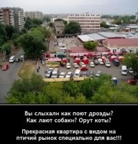 Не было в этой песне таких куплетов.