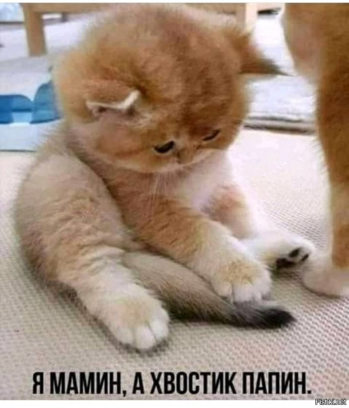 Солянка от 30.11.2021