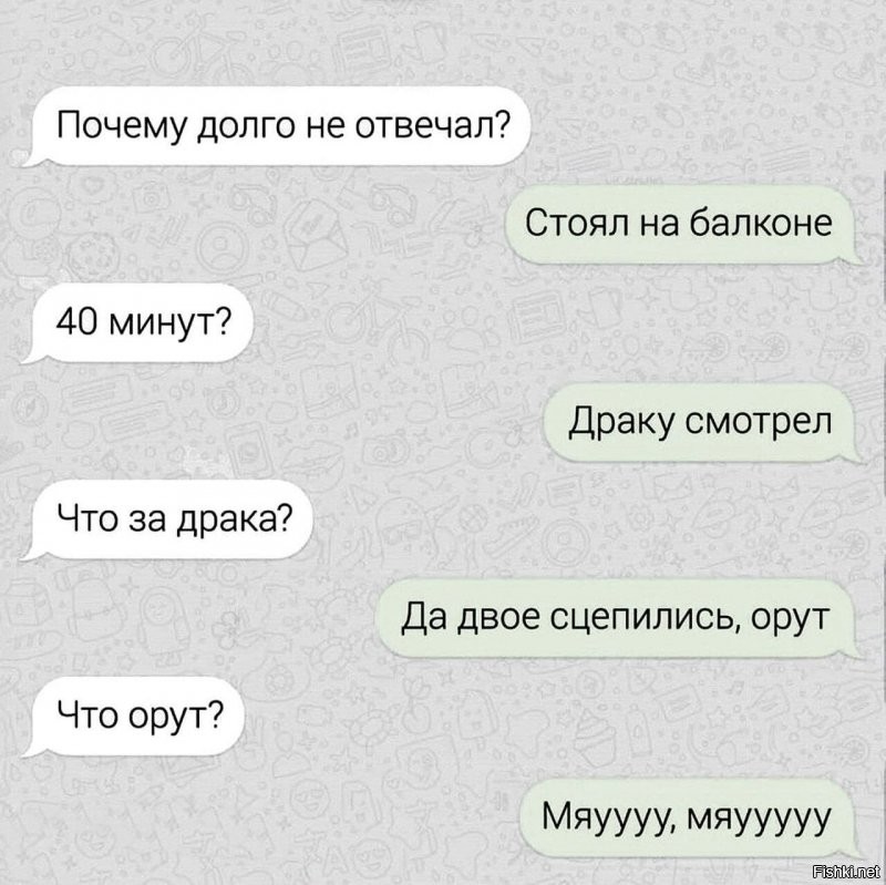 Кошачьи драки