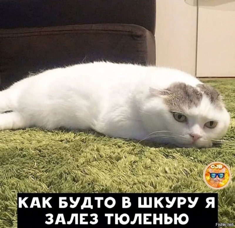 Солянка от 30.11.2021