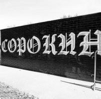 Согласен. Пик спортсмена приходится на 19-25 лет примерно. Далее кто во что горазд. Например Денис Мархасин открыл скейтшоп в начале 2000х а сейчас учредил компанию по строительству скейтпарков(цех), Рунар Халилулин создал фк рампс которые уже построили более двухсот парков по всей России и не только, Борис Берестов создал бренд досок хобо, Алексей струков создал фирму футворк, Вася Сысоев создал компанию юнион(эти доски продаются по всему миру) и еще много примеров. А есть Паша Сорокин который создал так много всего что даже перечислять не буду, в итоге умер от злоупотребления алкоголем 
Это лишь несколько примеров ребят которых я знаю лично, а их еще очень много только в России.