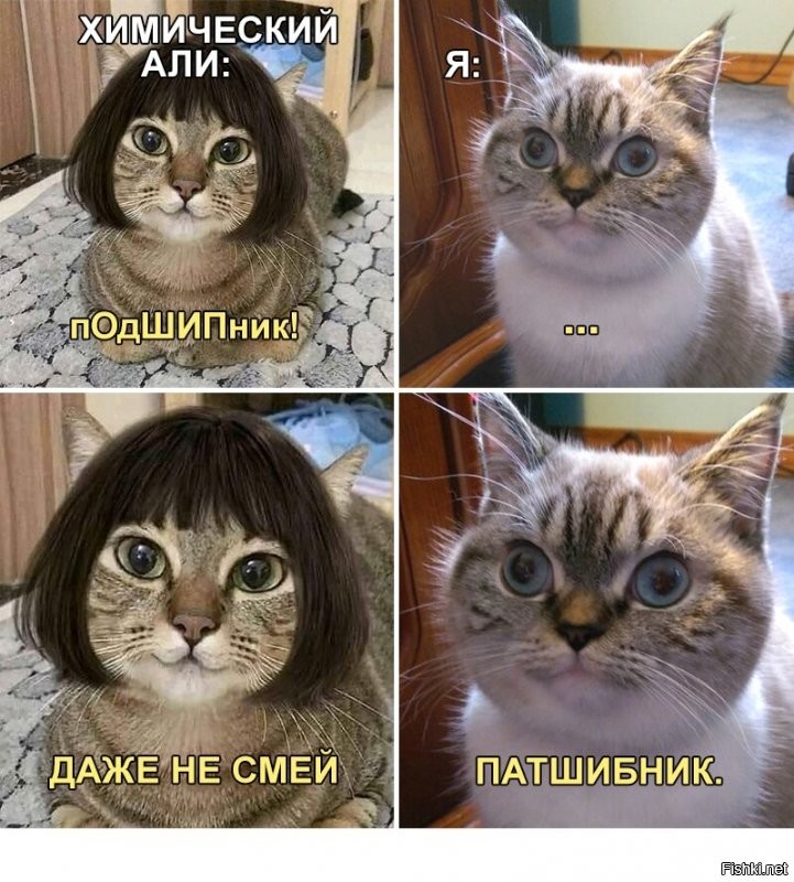 Солянка от 30.11.2021