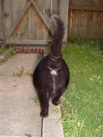 Вся русская автомобильная индустрия